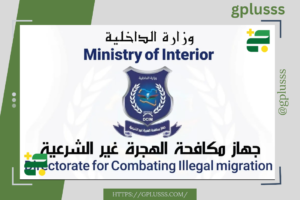 الهجرة الدولية