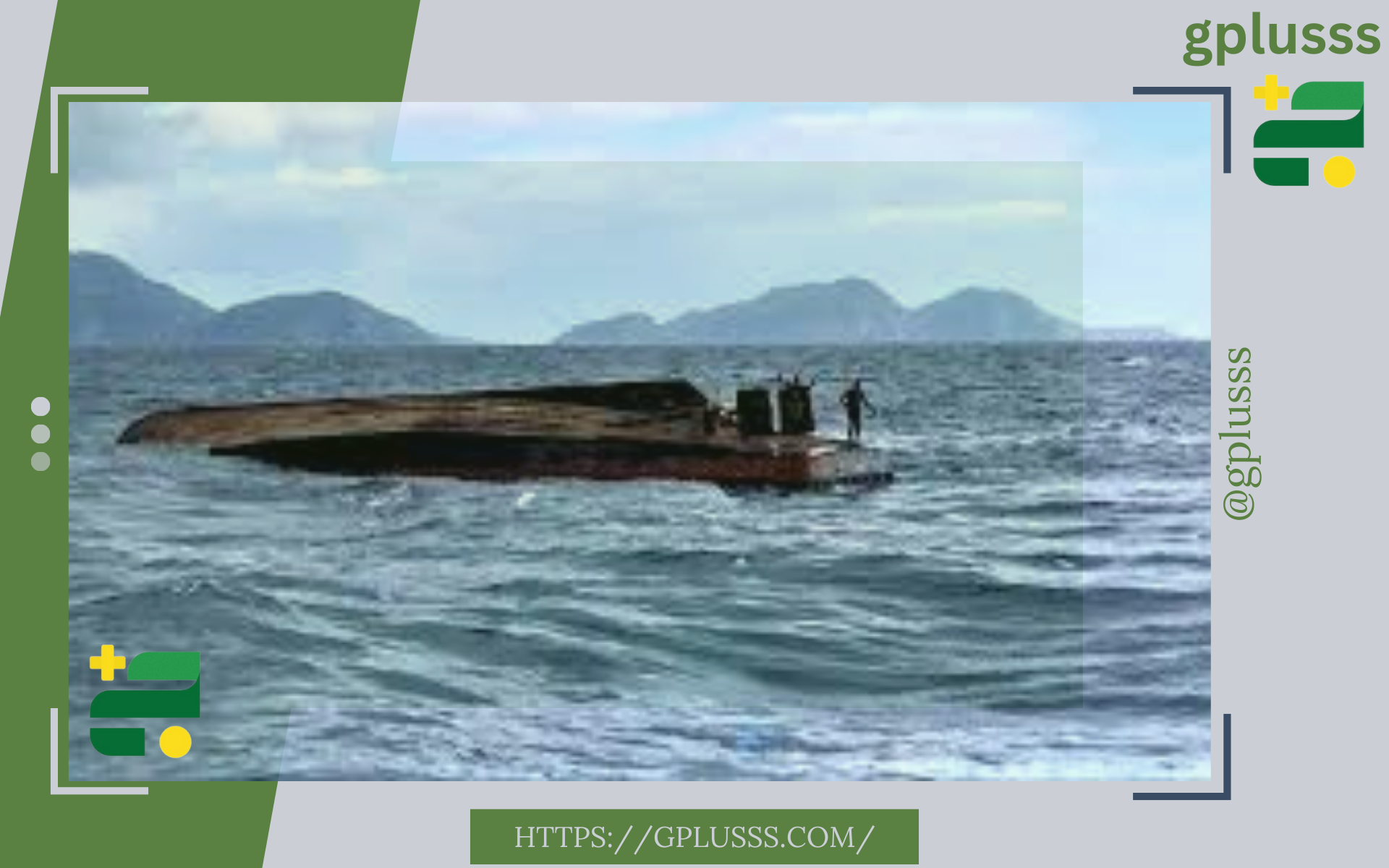 منظمة ووتش ذاميد