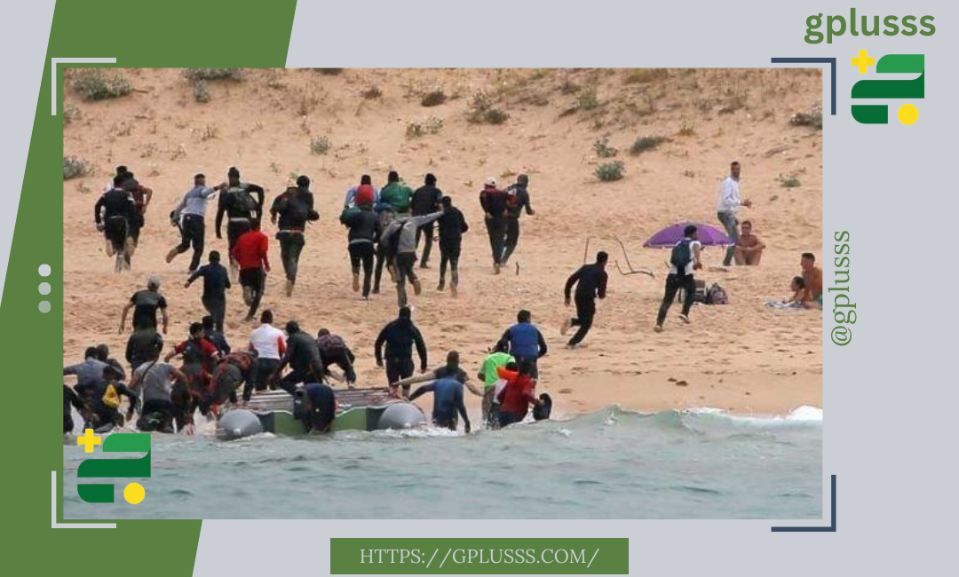 وكالة نوفا