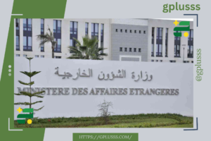 وزير الخارجية الجزائري يدعو إلى إنهاء التدخلات الخارجية في ليبيا - (فيديو)