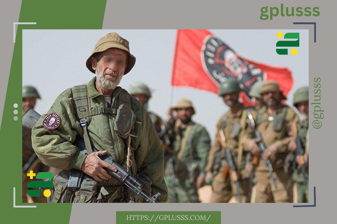 فرنسا الدولية