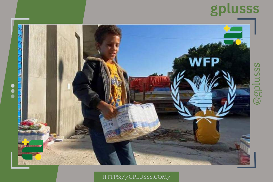 الغذاء العالمي| يرصد التباين في الأسعار بين مدن شرق وغرب وجنوب البلاد