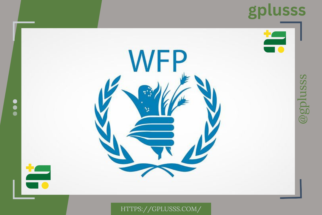 الغذاء العالمي| يرصد التباين في الأسعار بين مدن شرق وغرب وجنوب البلاد