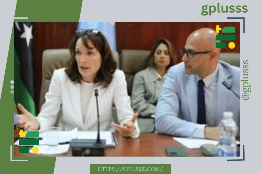 البعثة الأممية