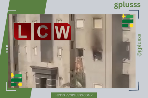 منظمة رصد الجرائم