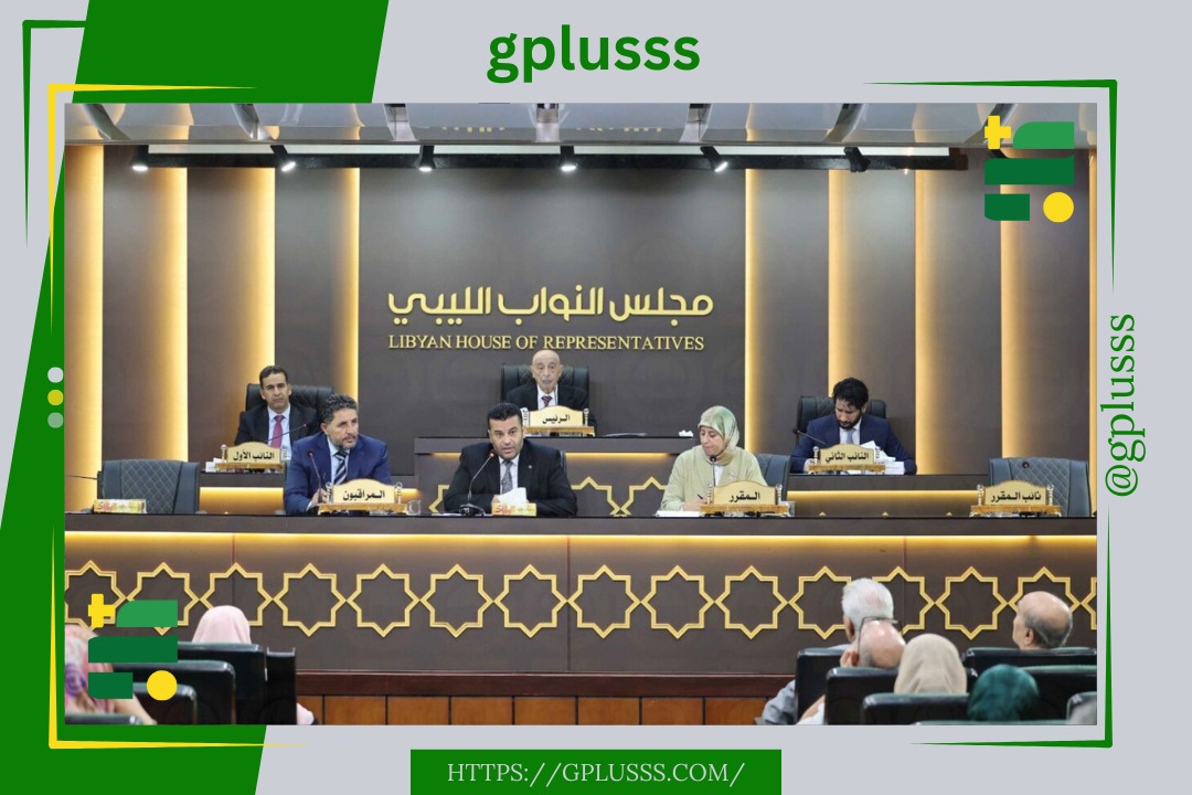 محلل سياسي: مجلس النواب فاقد للشرعية.. وقرارات عقيلة وعصابته حبر على ورق