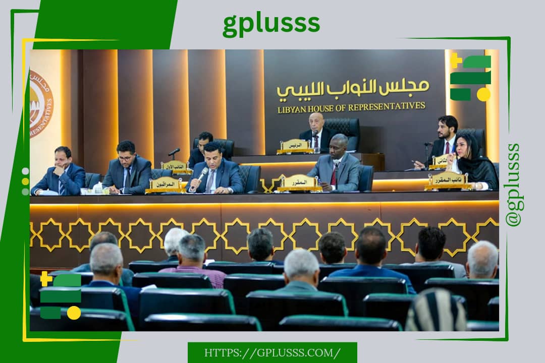 البيوضي: مجلس النواب لا يمتلك آليات لإزاحة الدبيبة.. والأمر مرتبط بالمجتمع الدولي