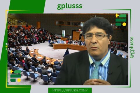 الرميلي: ليبيا ضحية صراعات دولية وسياسية.. والأمم المتحدة فشلت في حل الأزمة المعقدة ونحتاج لحل ليبي داخلي