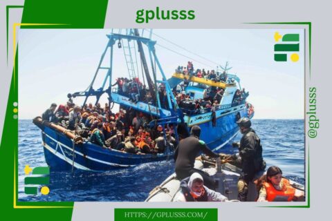 بينهم 445 طفلا.. المنظمة الدولية للهجرة: اعتراض أكثر من 13 ألف مهاجر وإعادتهم إلى ليبيا