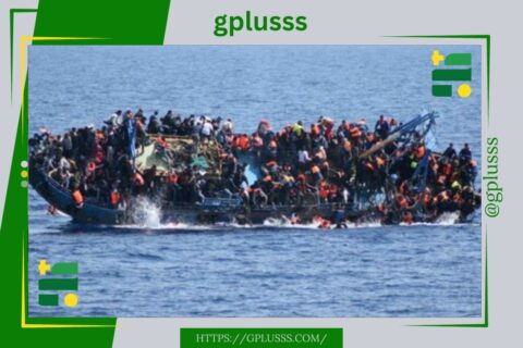 بوثائق مزورة.. تحقيقات إسبانية تكشف تفكيك شبكة دولية للهجرة غير الشرعية وليبيا محطة رئيسية.. واعتقال 77 شخصاً بينهم ليبيون