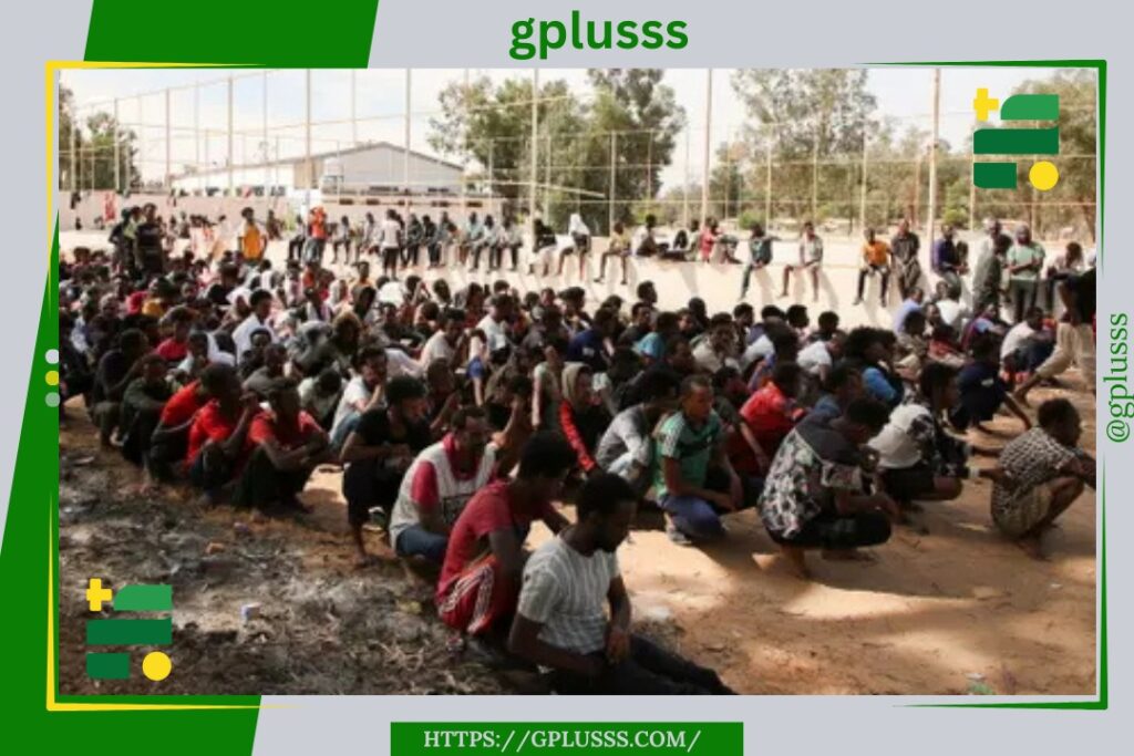 قناة الحرة الأمريكية